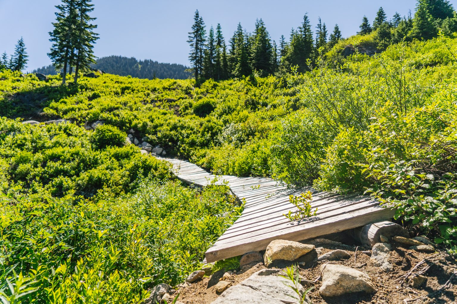 Stevens Pass Summer Update (7/15/22) Pure PNW Blog