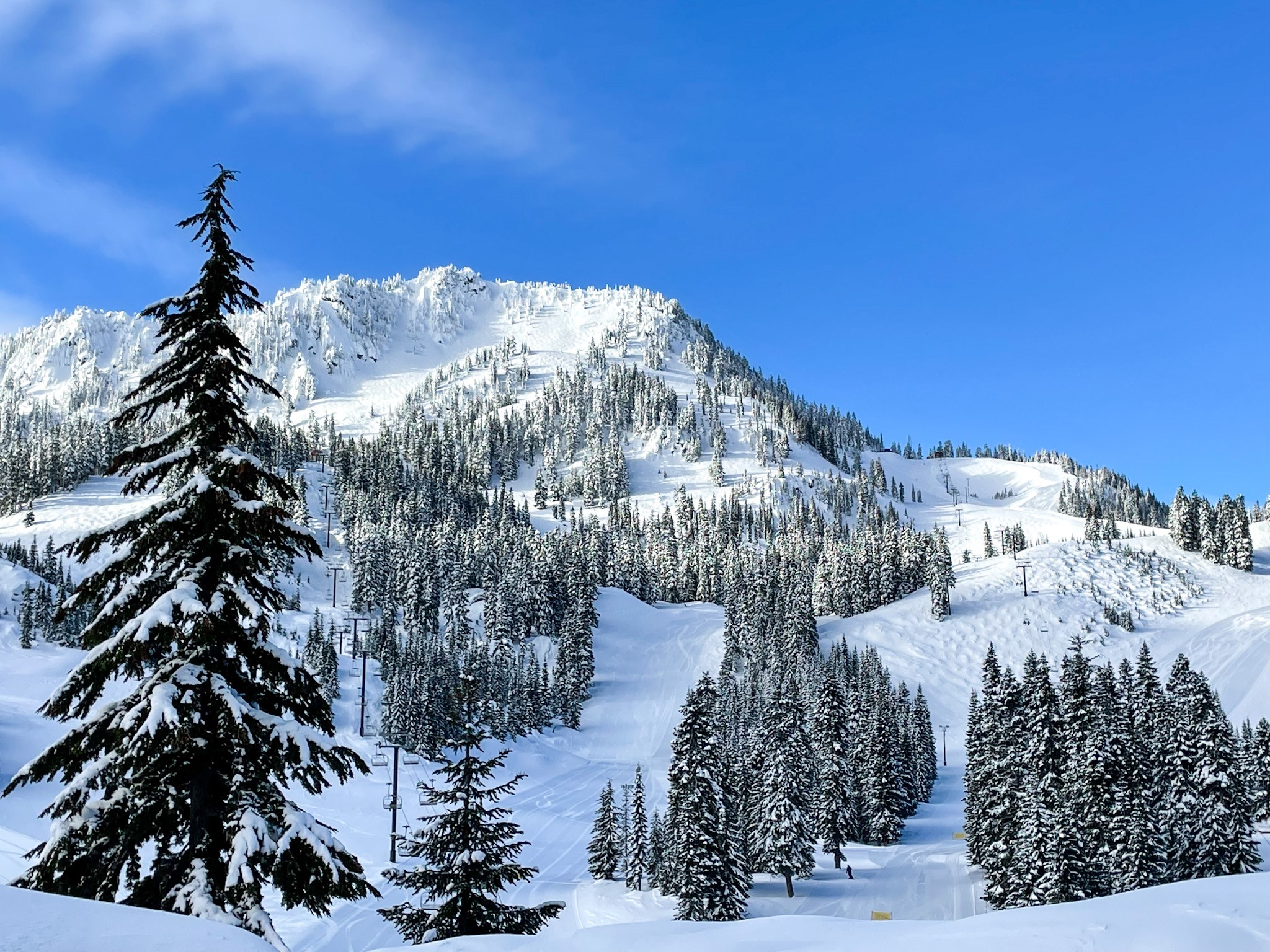 Stevens Pass Update 3 14 23 Pure Pnw Blog