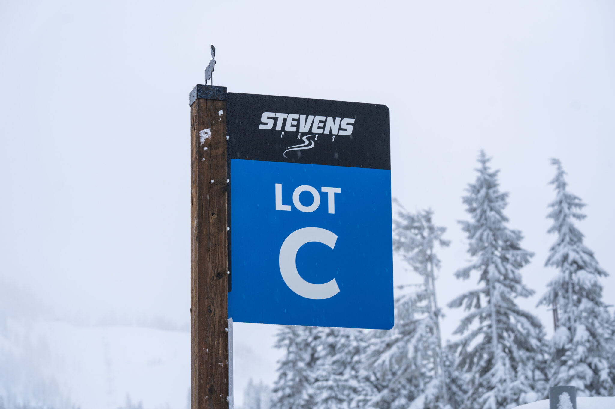 Stevens Pass Update 1 24 24 Pure Pnw Blog