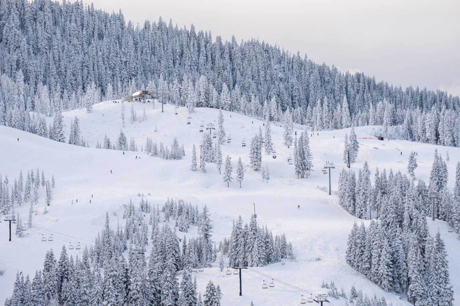 Stevens Pass Update 2 24 24 Pure Pnw Blog