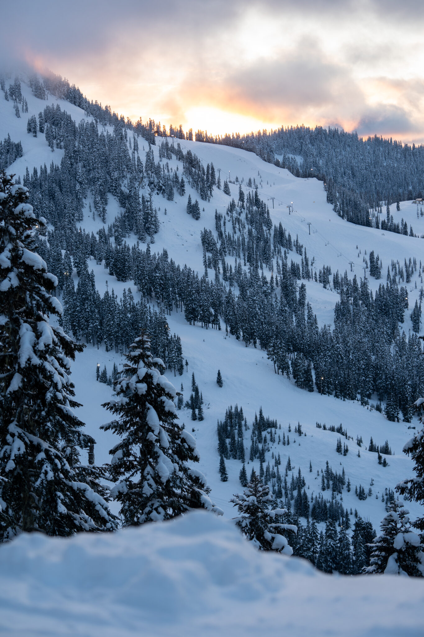 Stevens Pass Update 2 16 24 Pure Pnw Blog